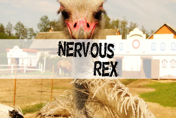 Nervous Rex: The Ultimate Display Font for Bold Branding